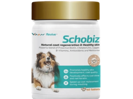 Vvaan Supplements for Dogs - Schobiz Biotin Supplement (40 tabs) Online Sale