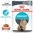 Royal Canin Urinary Care Adult Gravy Wet Cat Food (85g x 12 Pouches) Online