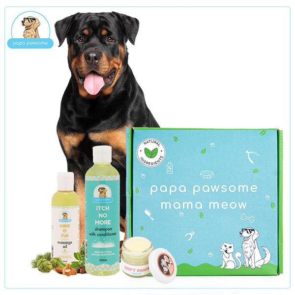 Papa Pawsome Grooming Kit for Rottweilers Hot on Sale